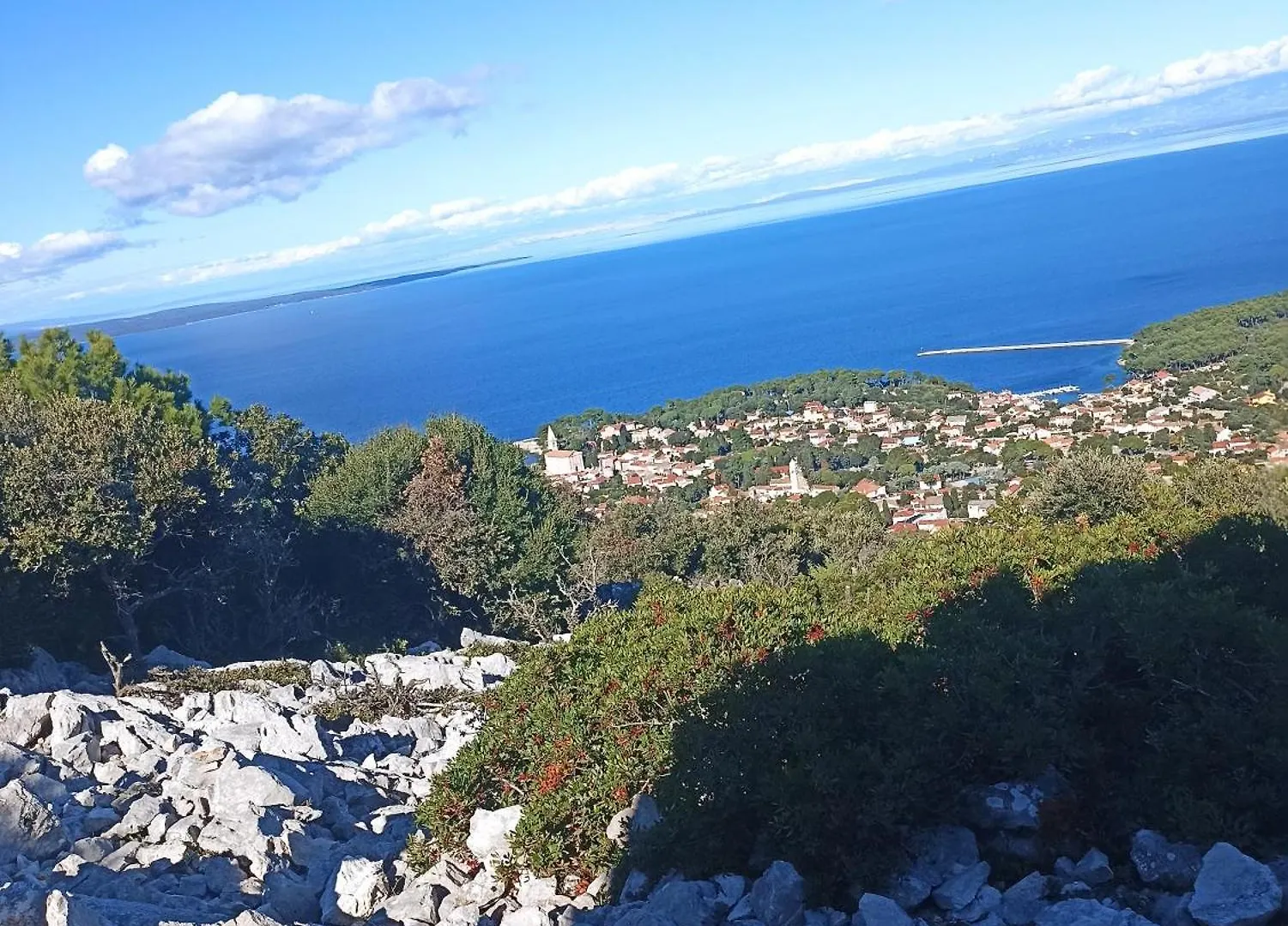 Veli LošinjApp Bonic公寓