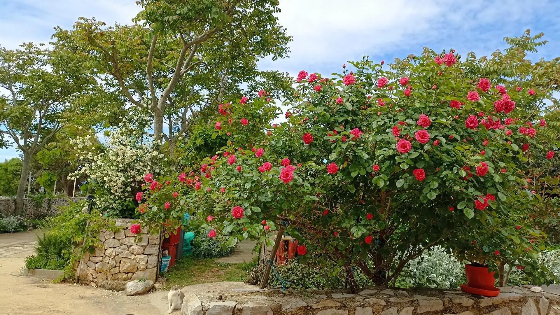 App Bonic Apartment Veli Losinj