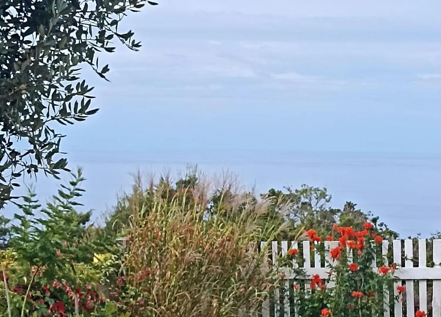 App Bonic Apartment Veli Losinj Croatia